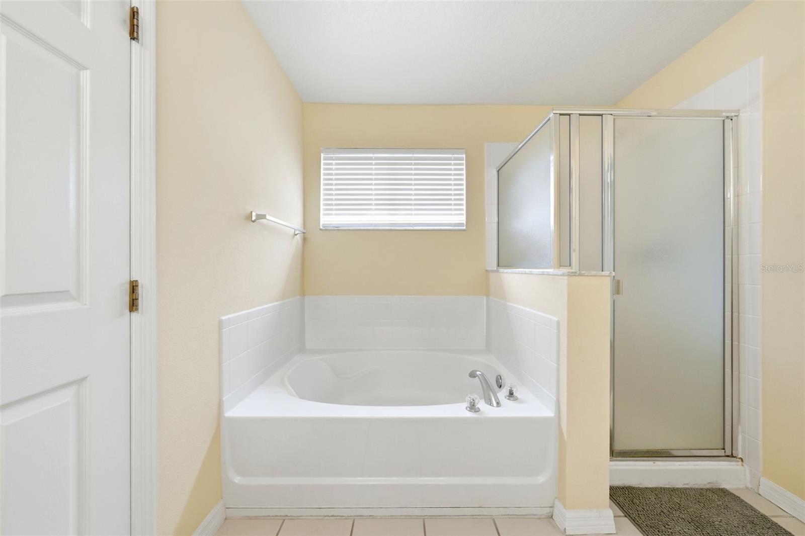 133 BAY LEAF LN, DAVENPORT, FL, 33896