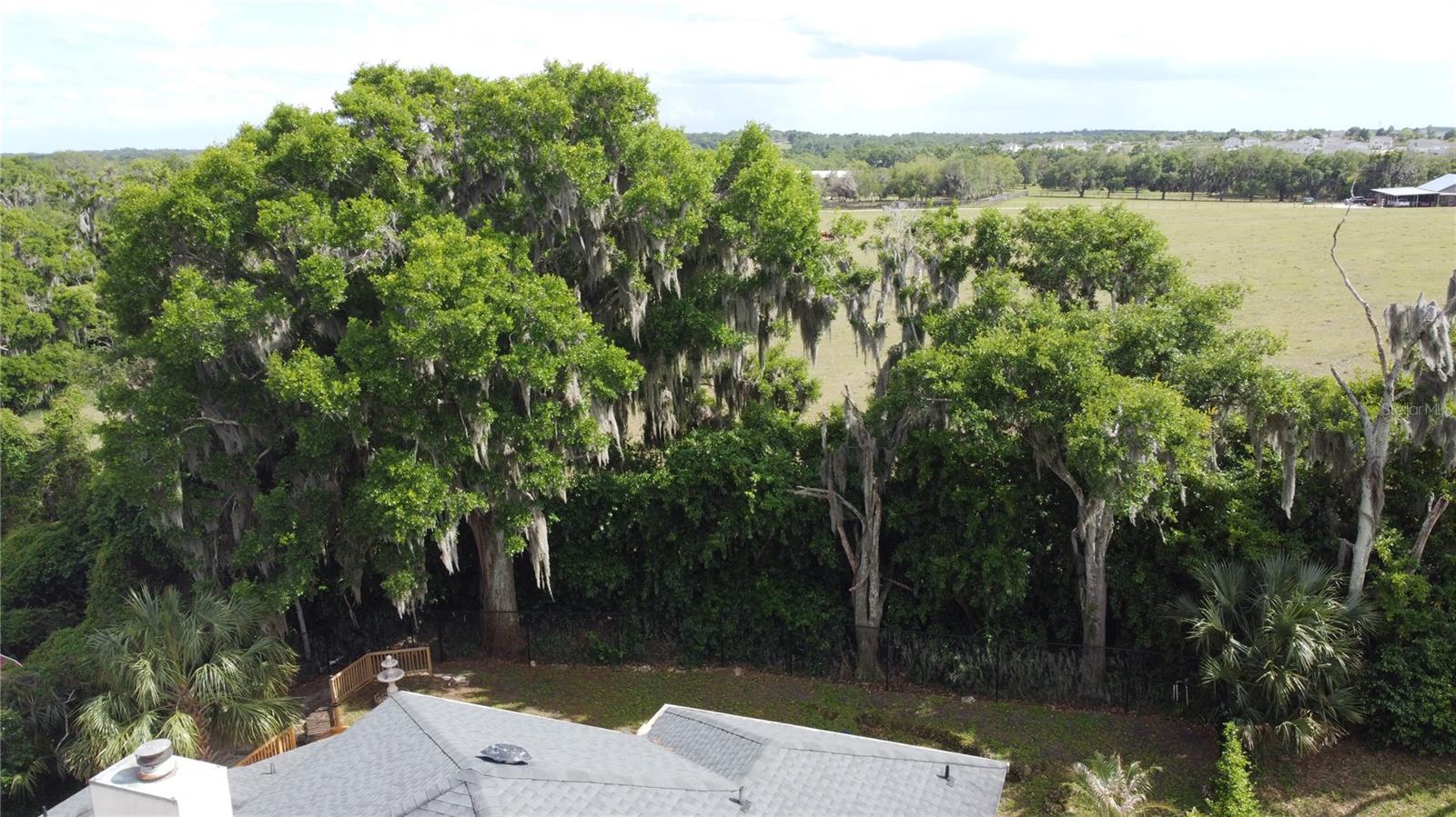 6846 LAKE VIEW DR, YALAHA, FL, 34797