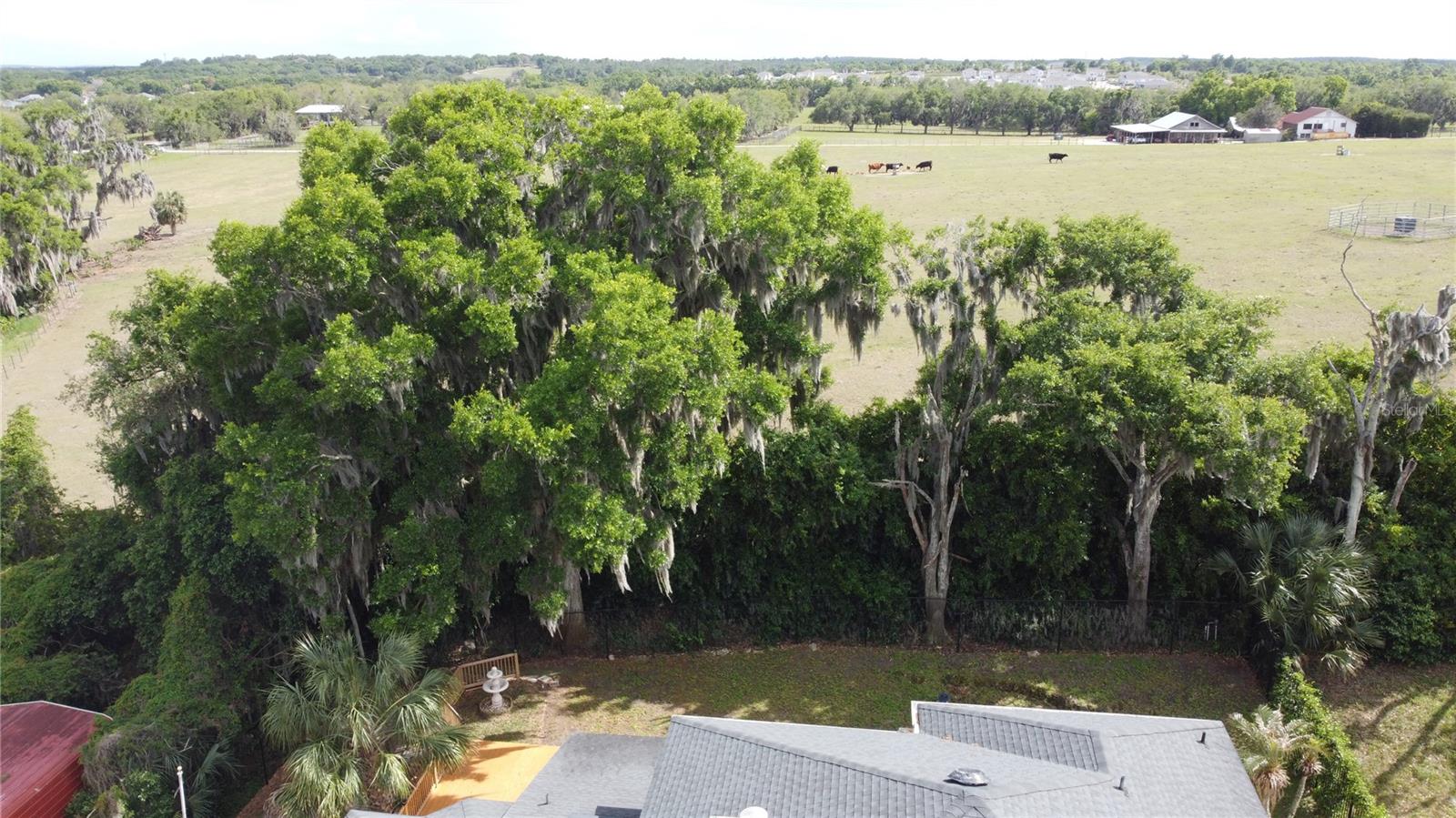 6846 LAKE VIEW DR, YALAHA, FL, 34797