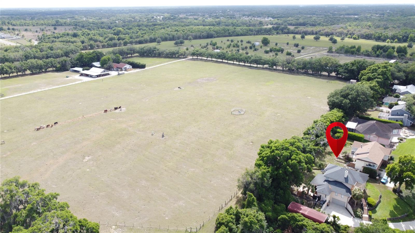 6846 LAKE VIEW DR, YALAHA, FL, 34797
