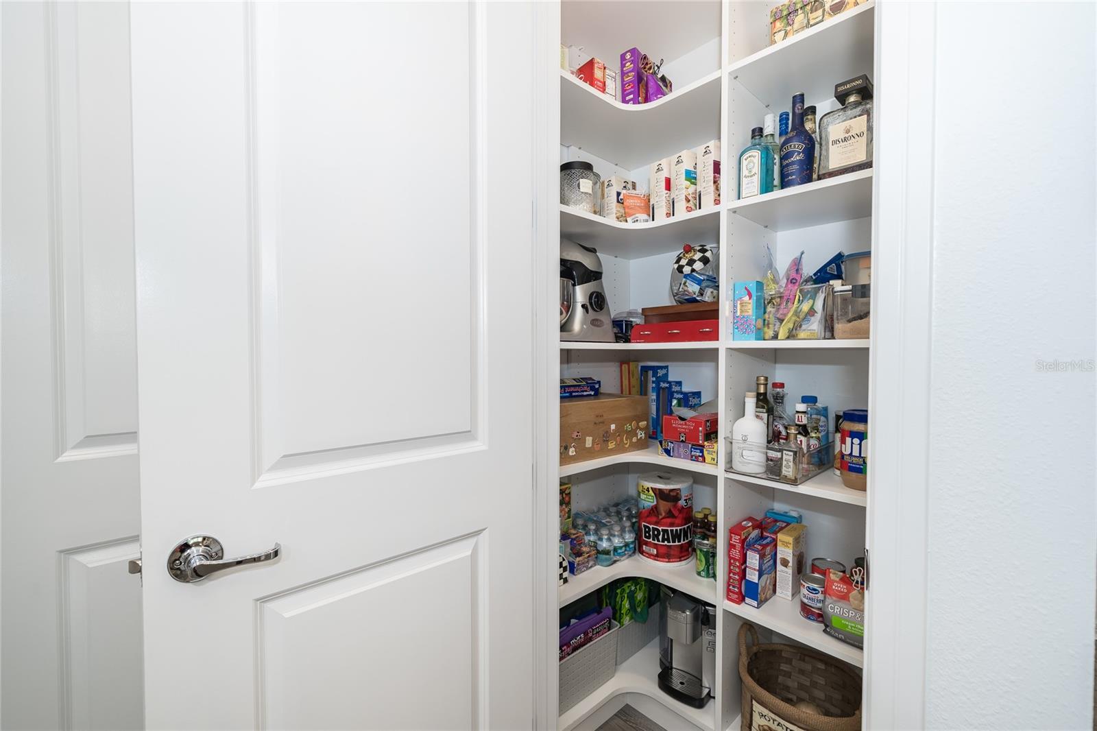 5989 SHOREBIRD BR, LAND O LAKES, FL, 34638