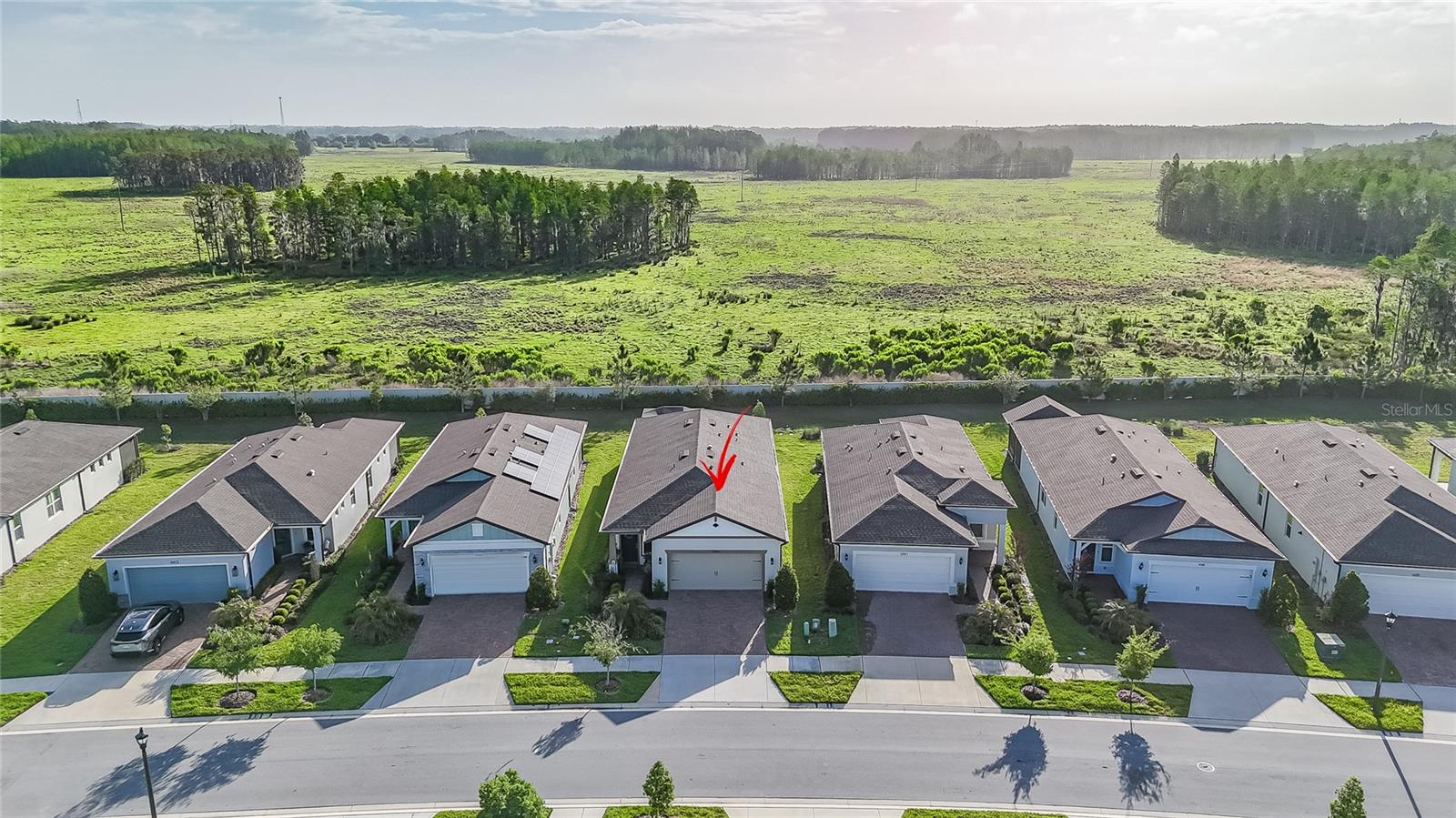 5989 SHOREBIRD BR, LAND O LAKES, FL, 34638