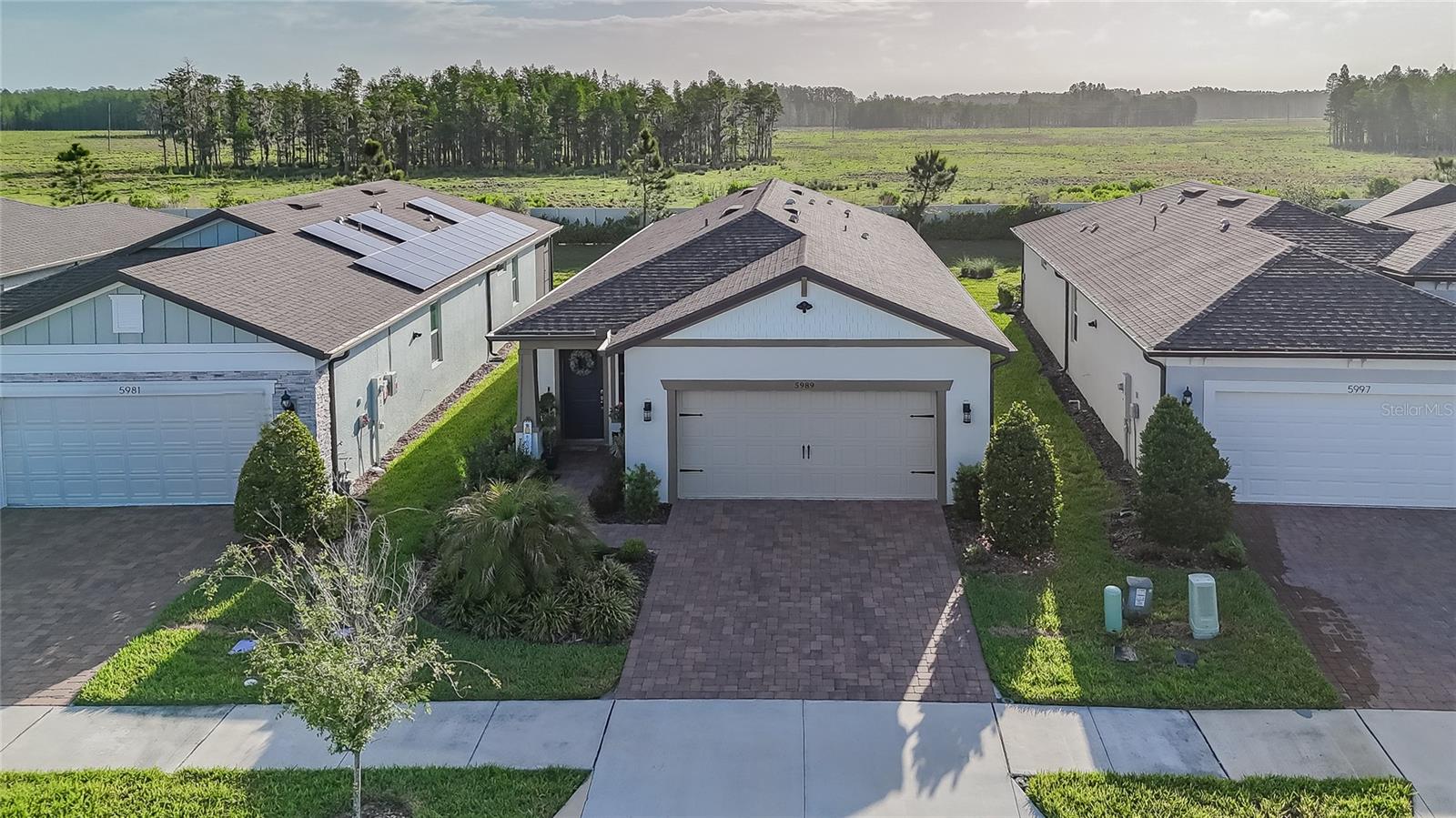 5989 SHOREBIRD BR, LAND O LAKES, FL, 34638