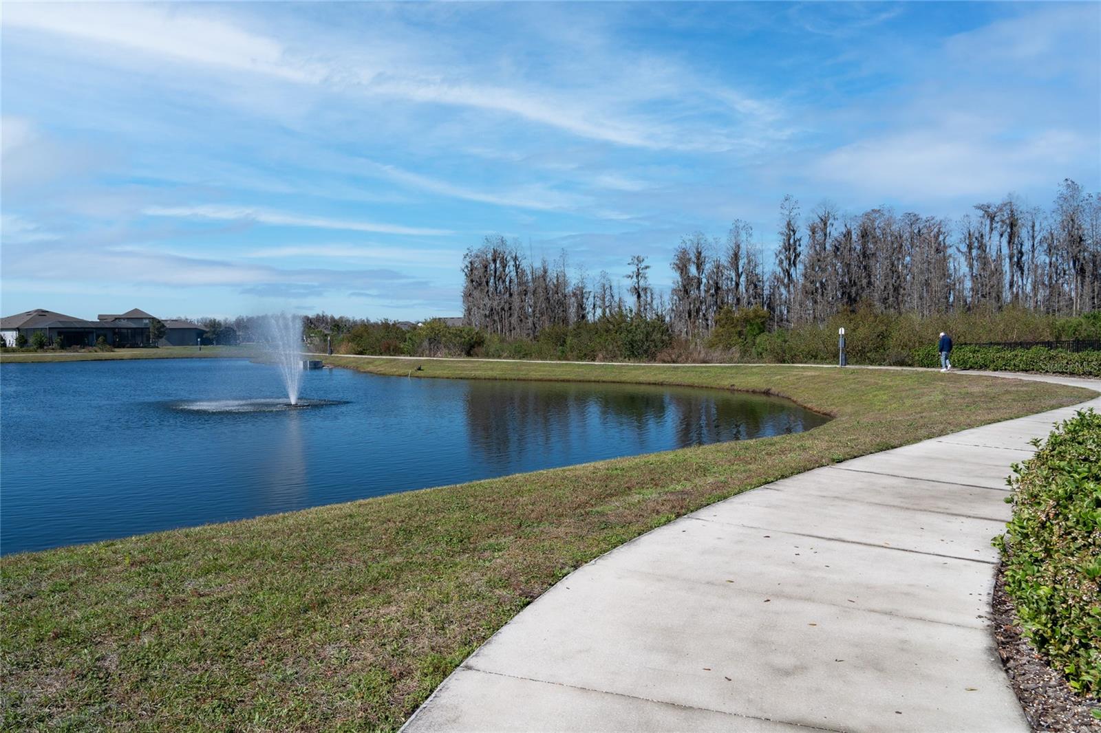 5989 SHOREBIRD BR, LAND O LAKES, FL, 34638