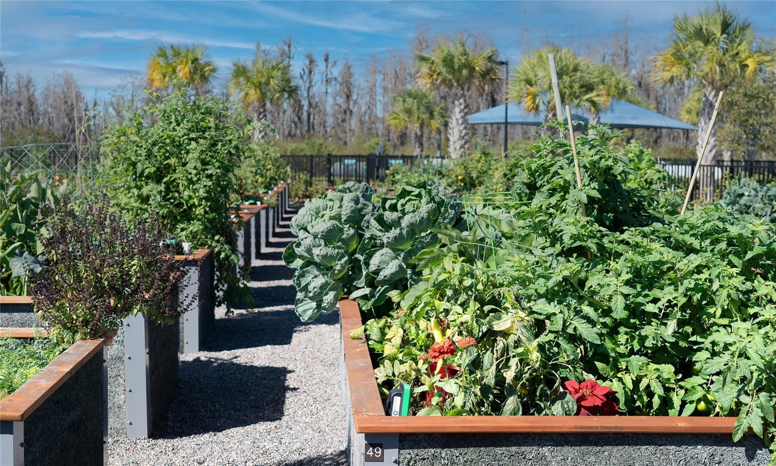 5989 SHOREBIRD BR, LAND O LAKES, FL, 34638