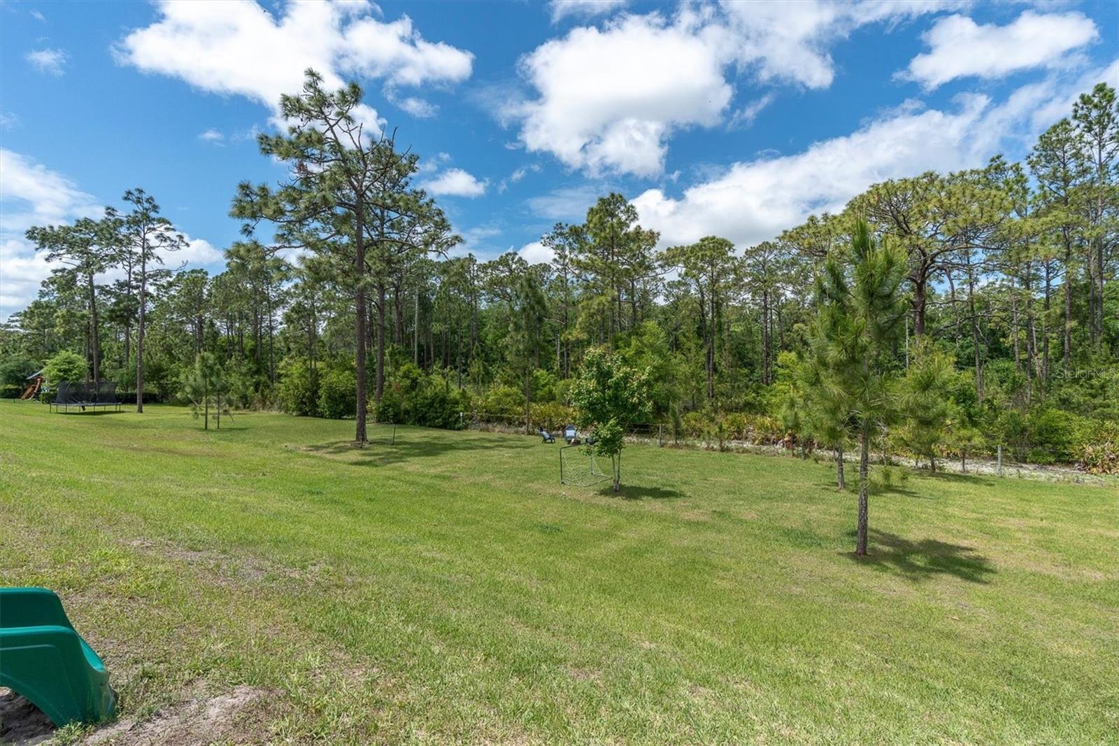 5042 NIGHT STAR TRL, ODESSA, FL, 33556