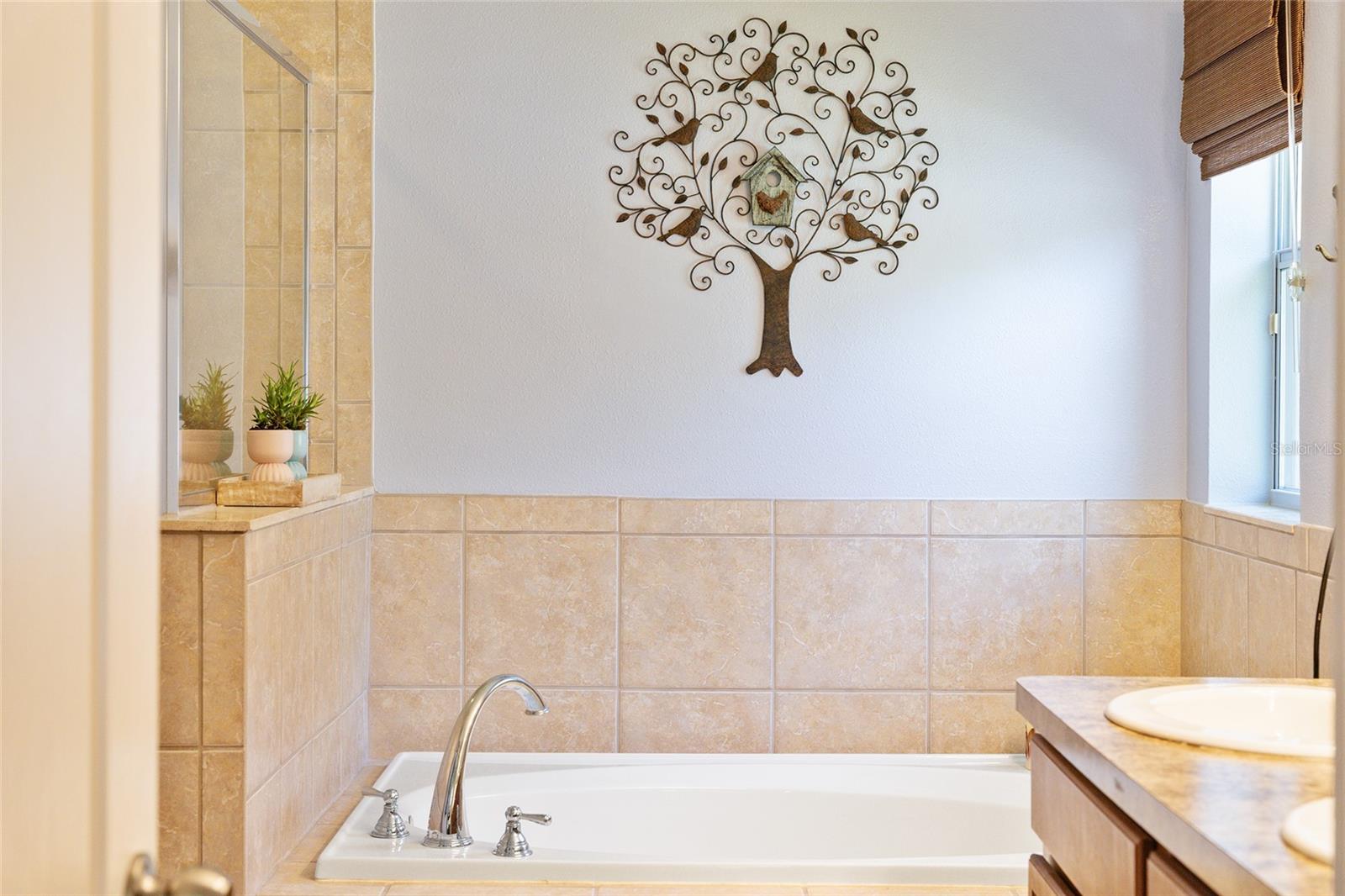 5814 COQUYT DR, MOUNT DORA, FL, 32757