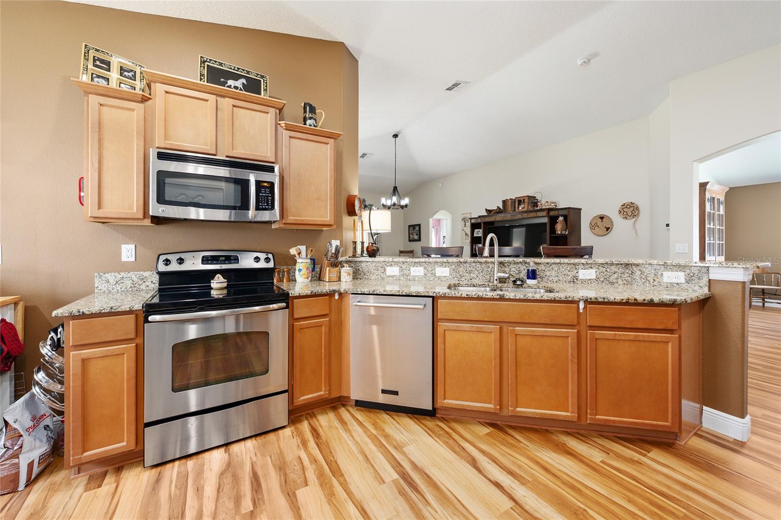 5814 COQUYT DR, MOUNT DORA, FL, 32757