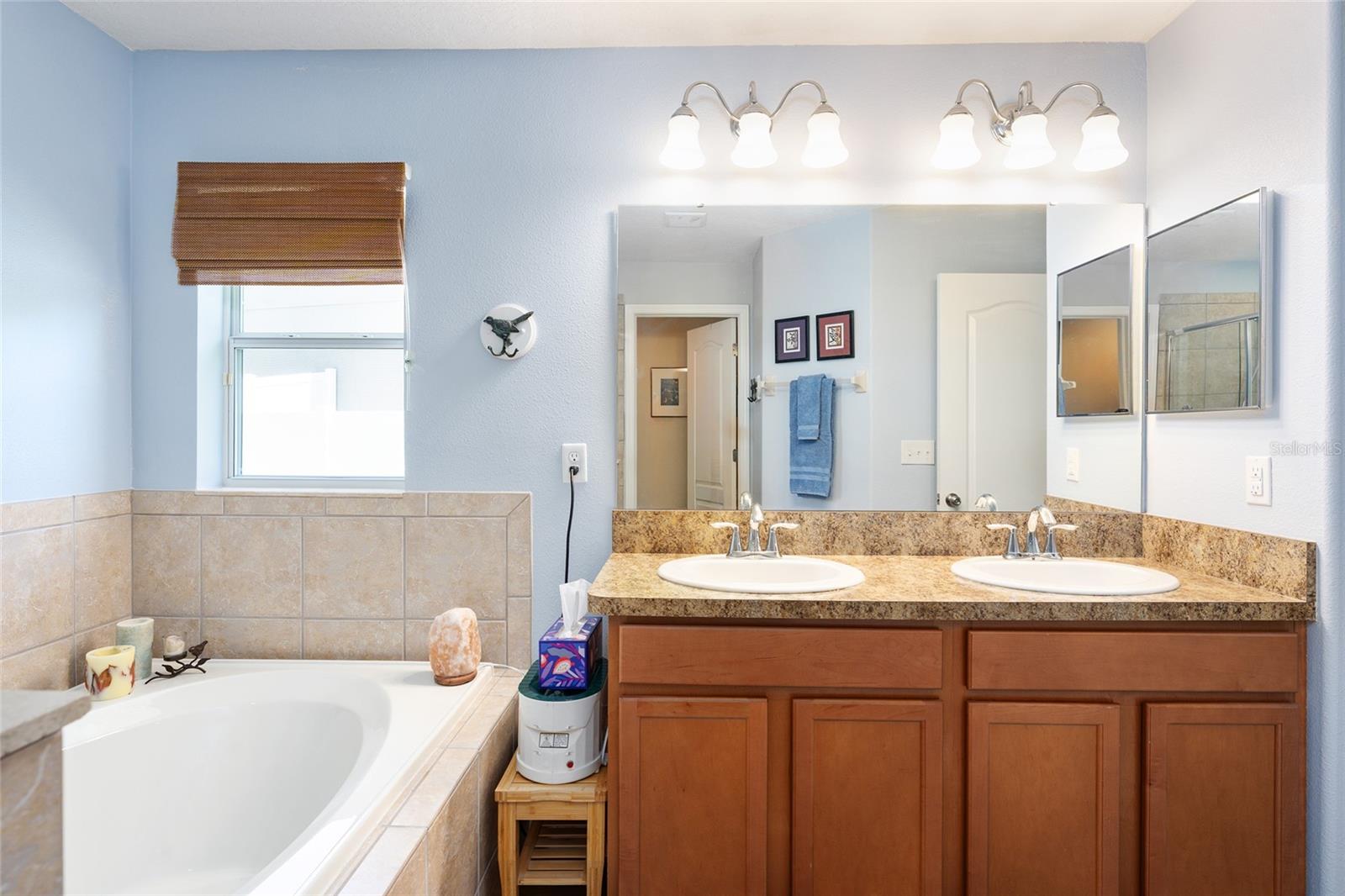 5814 COQUYT DR, MOUNT DORA, FL, 32757