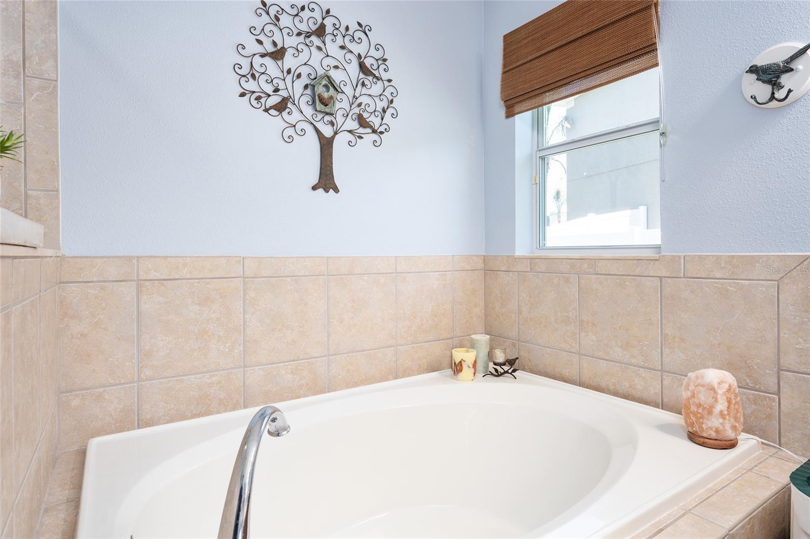 5814 COQUYT DR, MOUNT DORA, FL, 32757