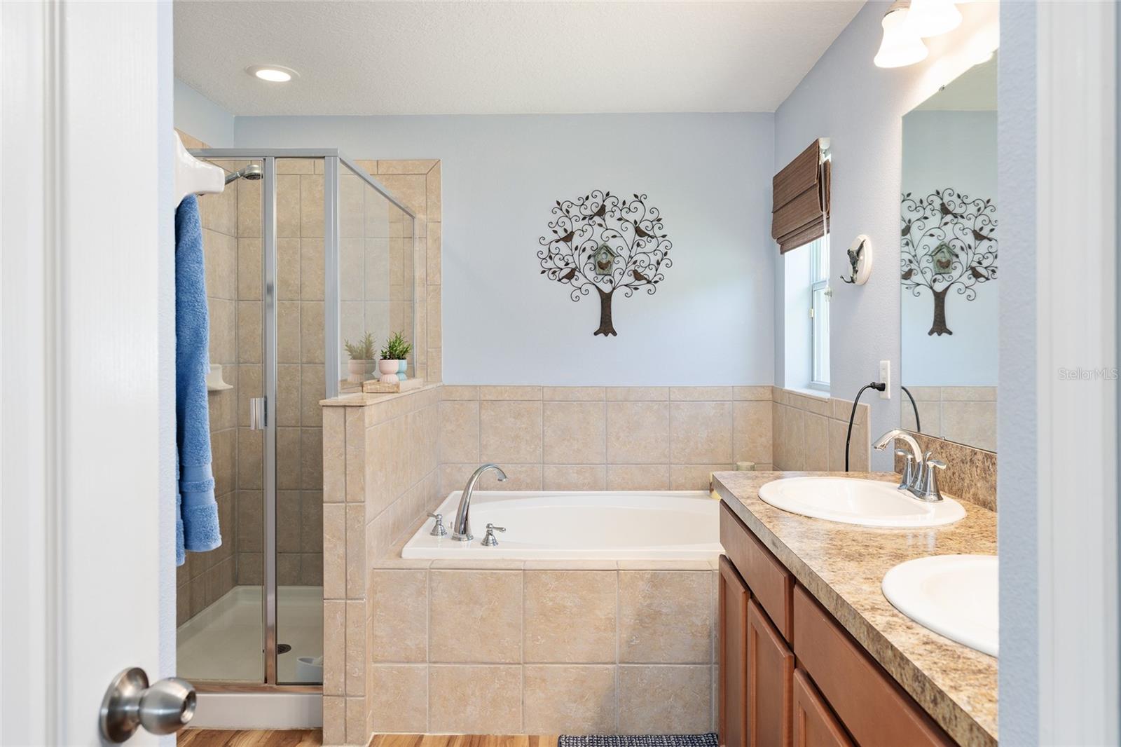 5814 COQUYT DR, MOUNT DORA, FL, 32757