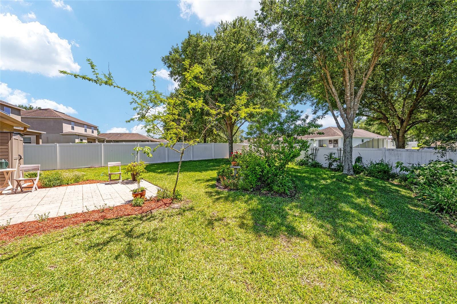 5814 COQUYT DR, MOUNT DORA, FL, 32757