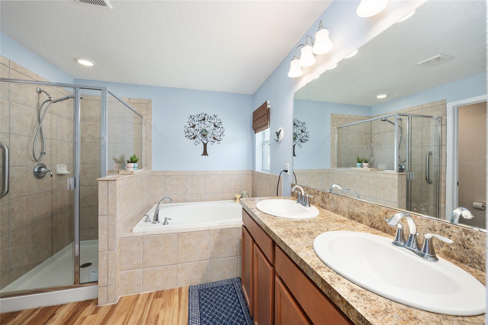 5814 COQUYT DR, MOUNT DORA, FL, 32757