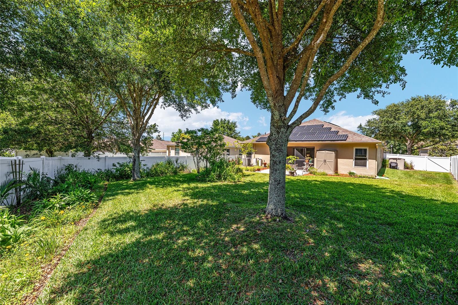 5814 COQUYT DR, MOUNT DORA, FL, 32757