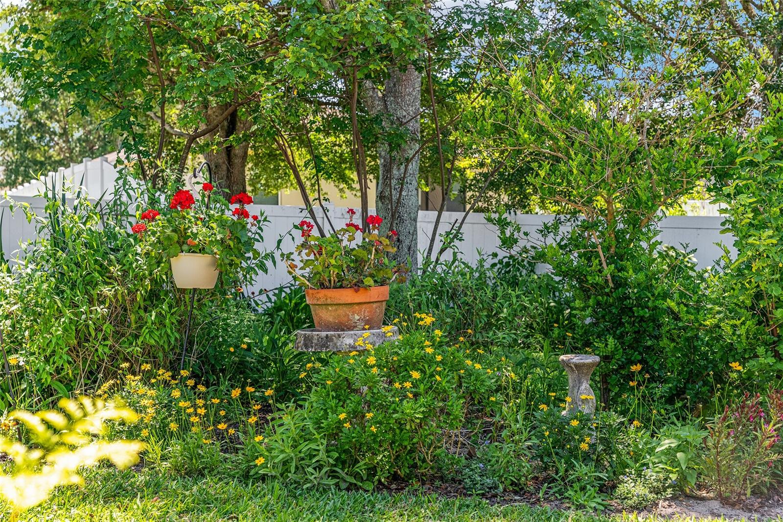 5814 COQUYT DR, MOUNT DORA, FL, 32757