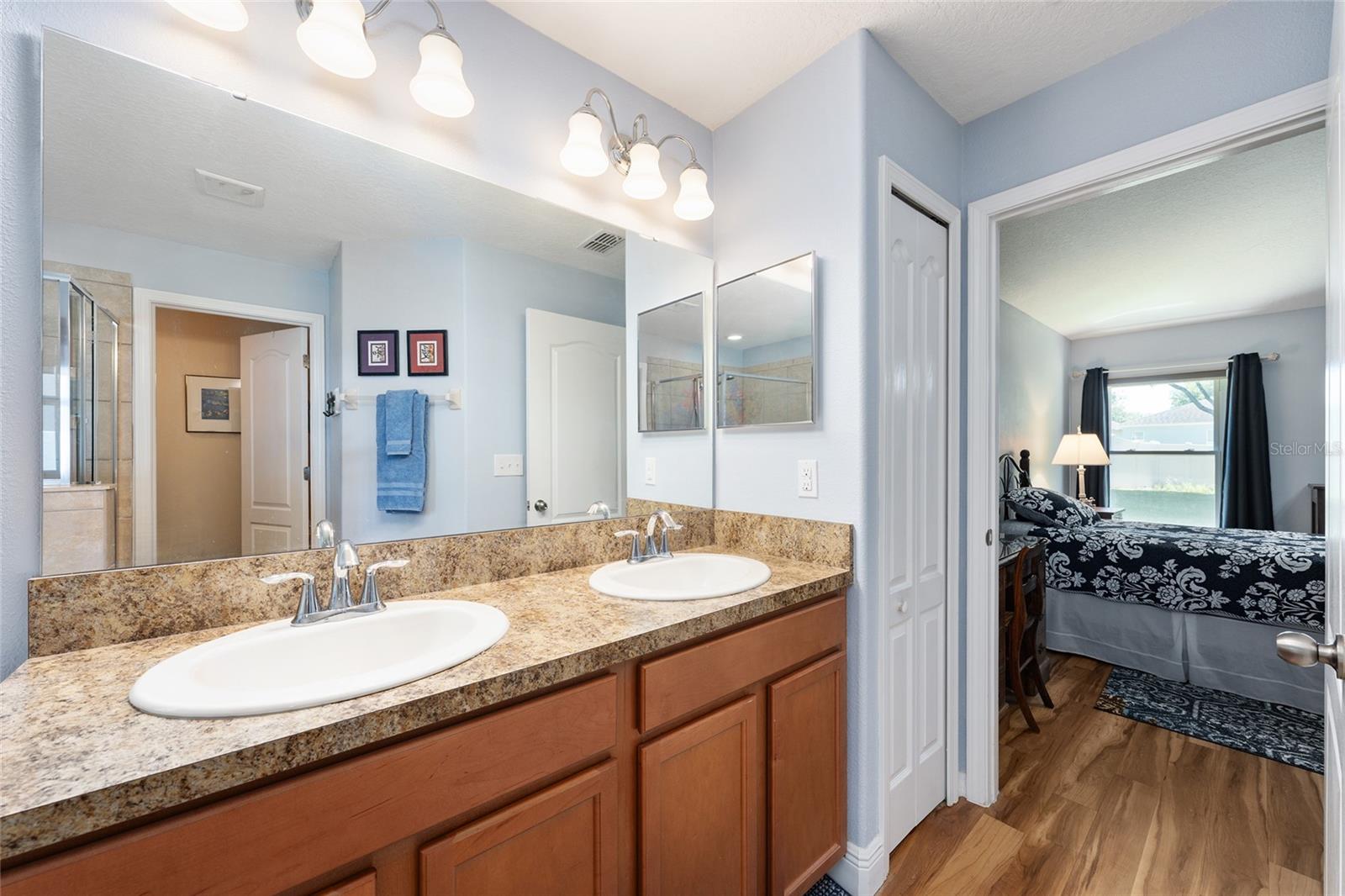 5814 COQUYT DR, MOUNT DORA, FL, 32757