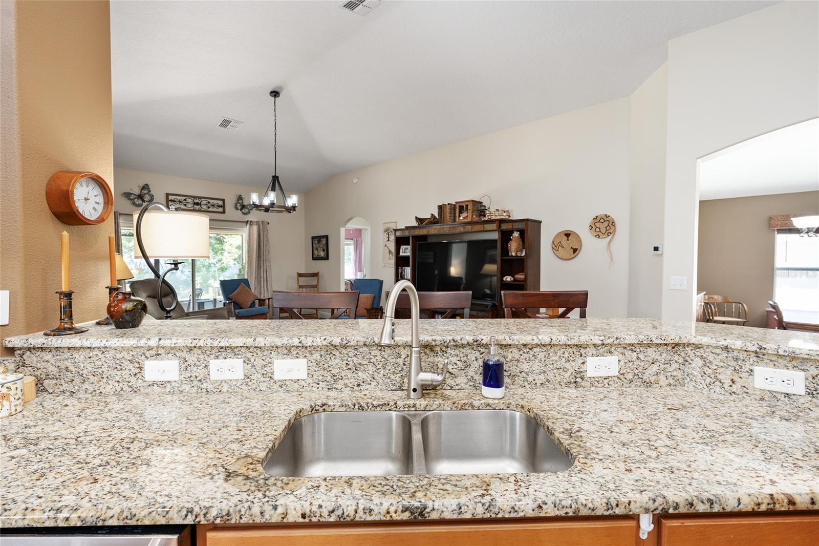 5814 COQUYT DR, MOUNT DORA, FL, 32757