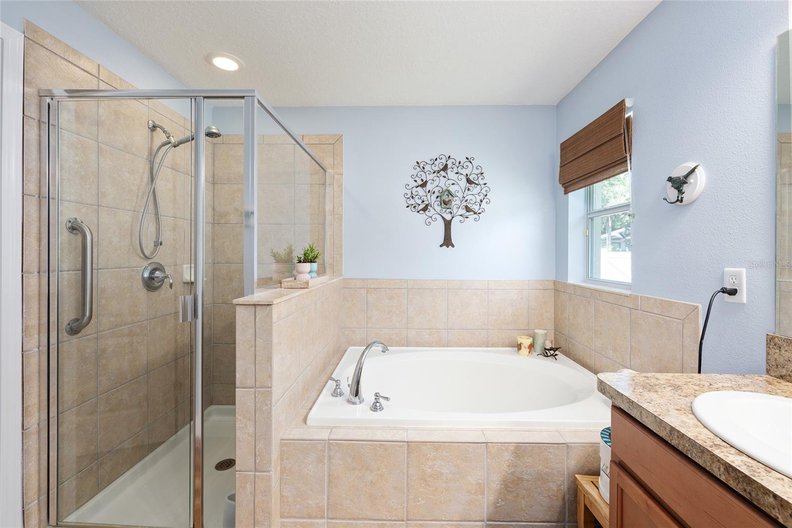 5814 COQUYT DR, MOUNT DORA, FL, 32757