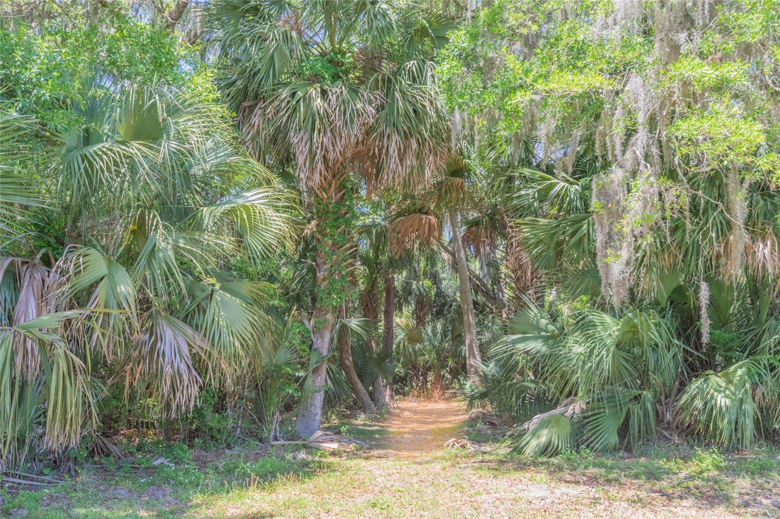 1200 CANOPY WALK LN #1233, PALM COAST, FL, 32137