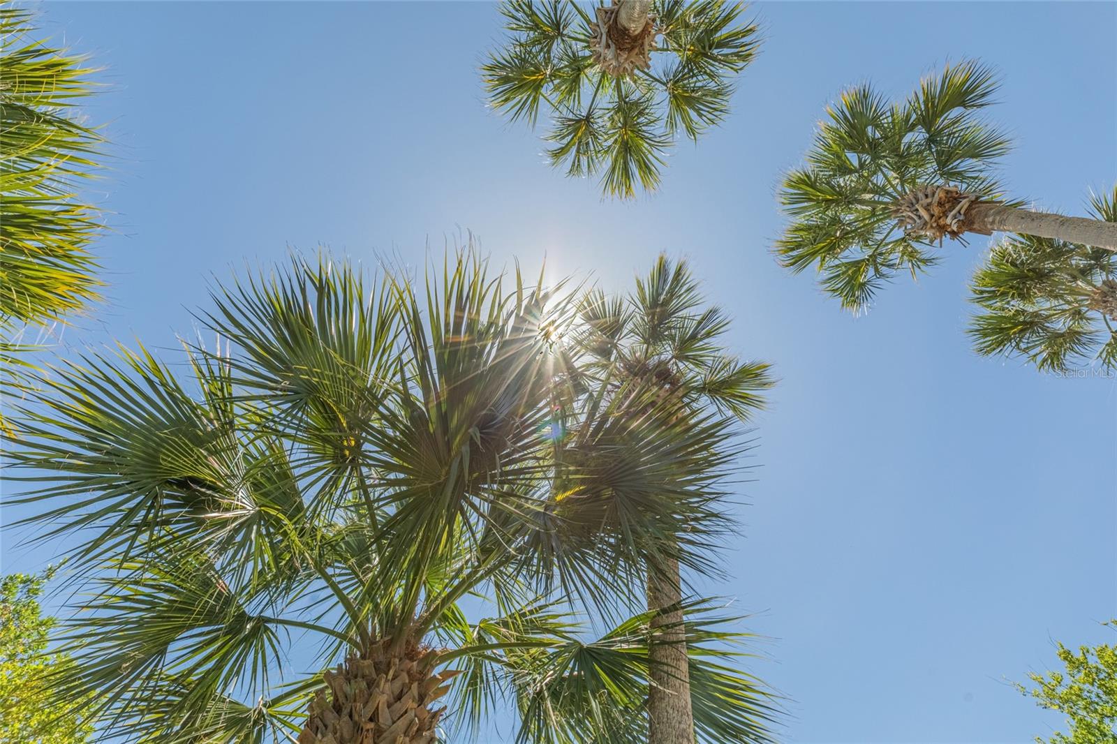 1200 CANOPY WALK LN #1233, PALM COAST, FL, 32137