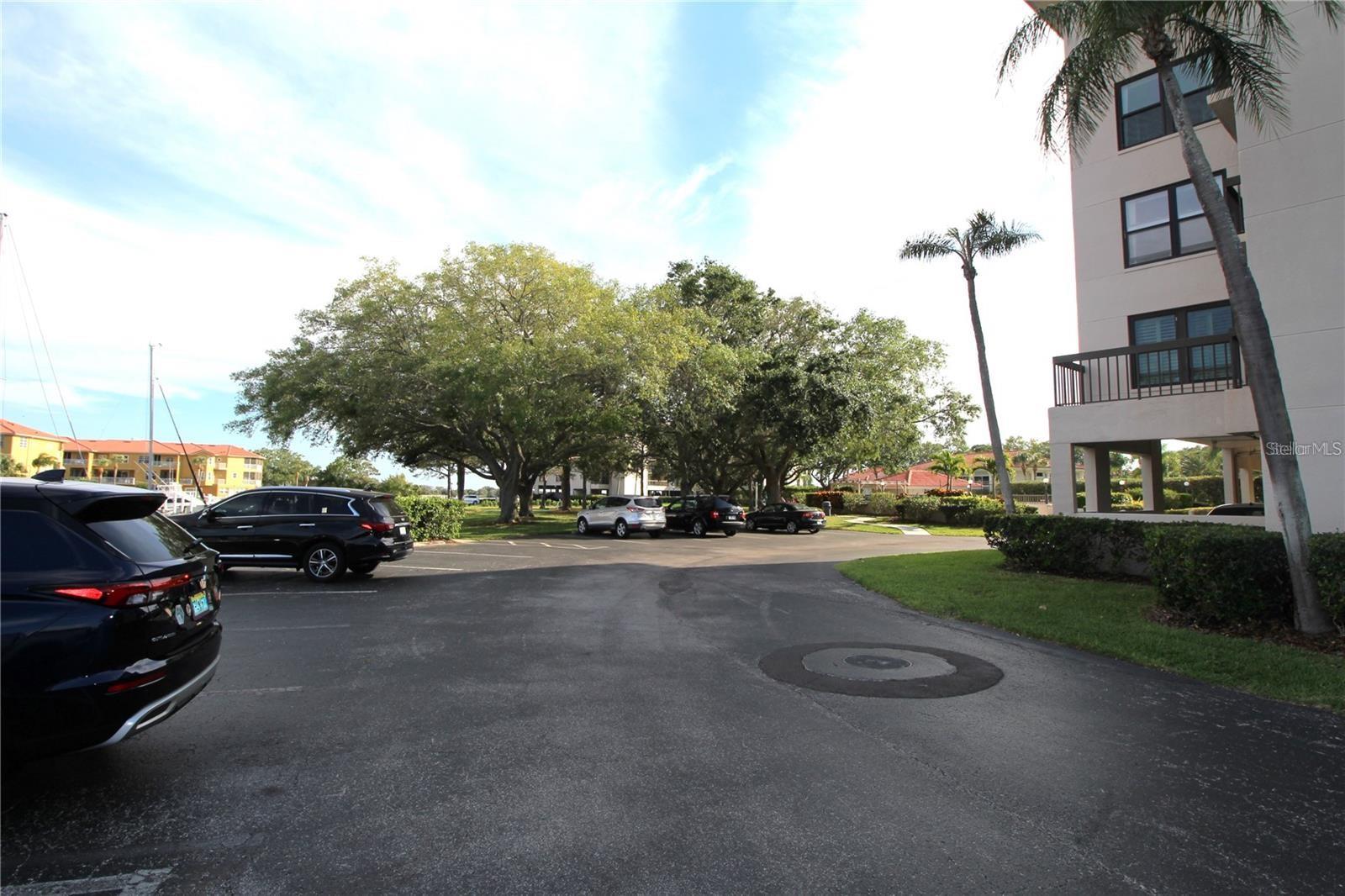 1806 MARINER DR #214, TARPON SPRINGS, FL, 34689