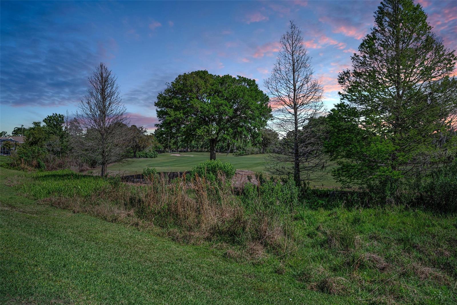 3054 BANYAN HILL LN, LAND O LAKES, FL, 34639