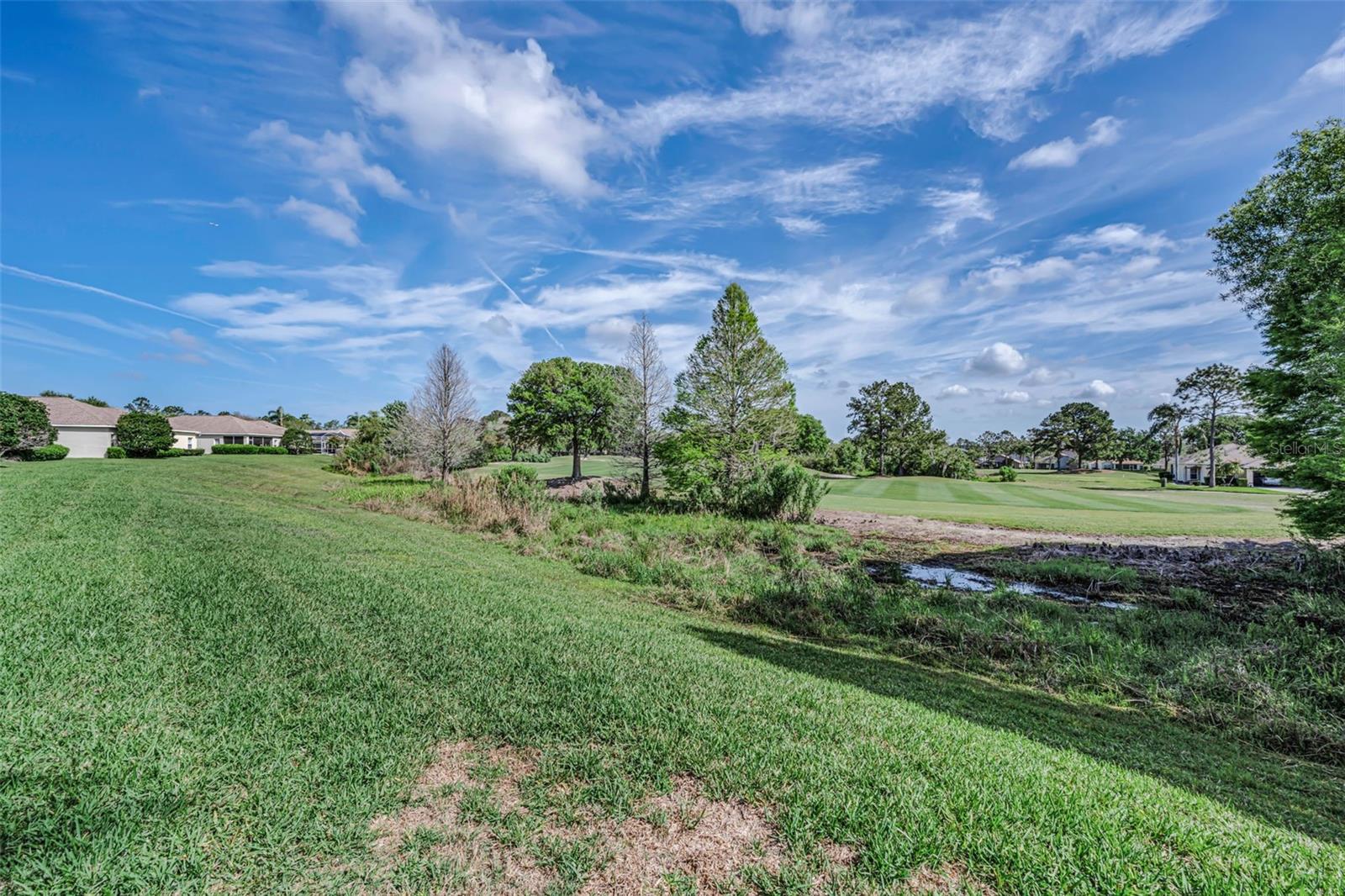 3054 BANYAN HILL LN, LAND O LAKES, FL, 34639
