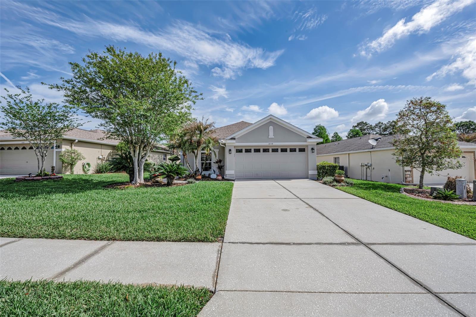 3054 BANYAN HILL LN, LAND O LAKES, FL, 34639