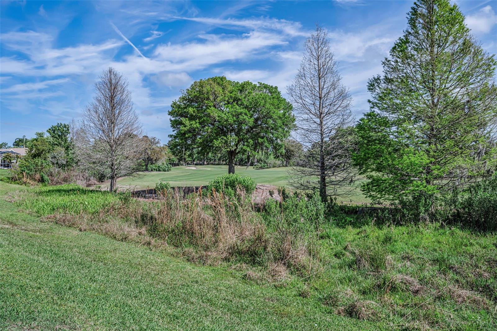 3054 BANYAN HILL LN, LAND O LAKES, FL, 34639