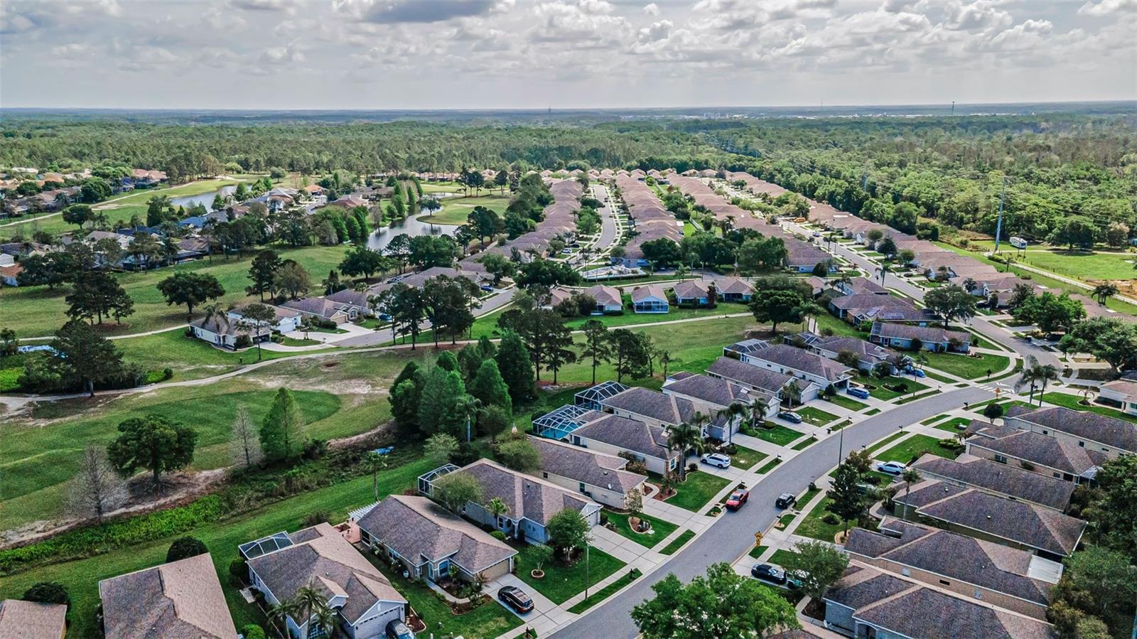 3054 BANYAN HILL LN, LAND O LAKES, FL, 34639