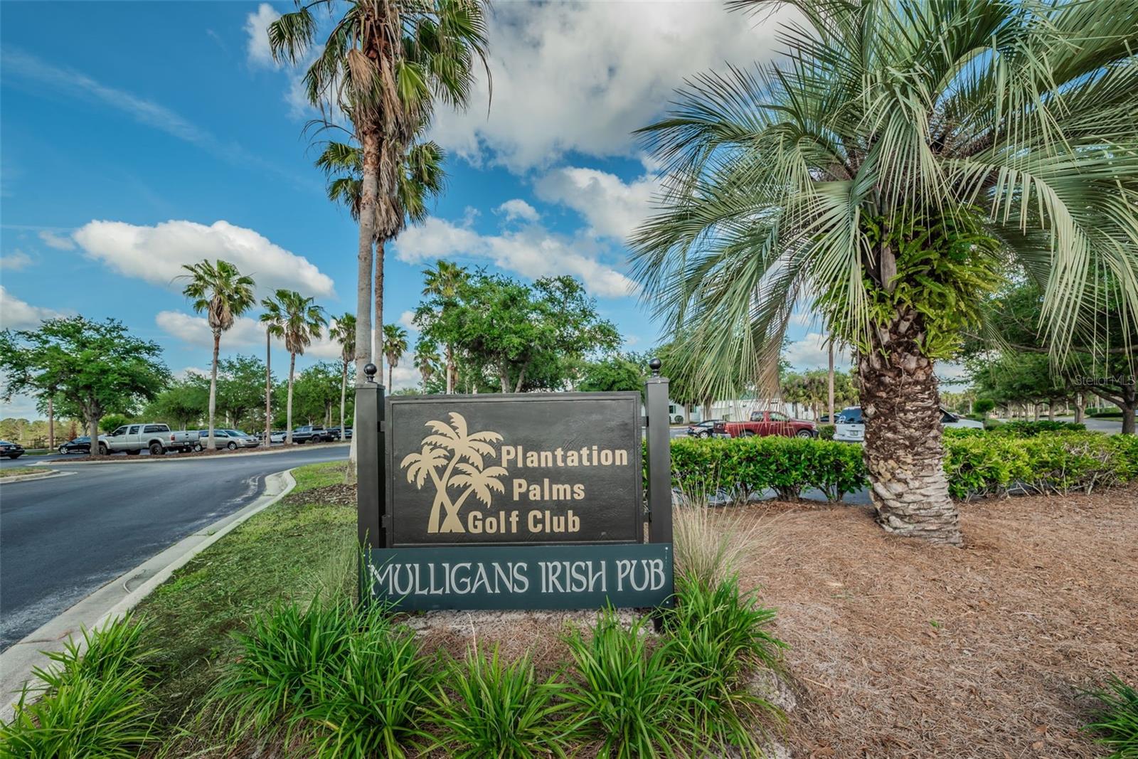 3054 BANYAN HILL LN, LAND O LAKES, FL, 34639