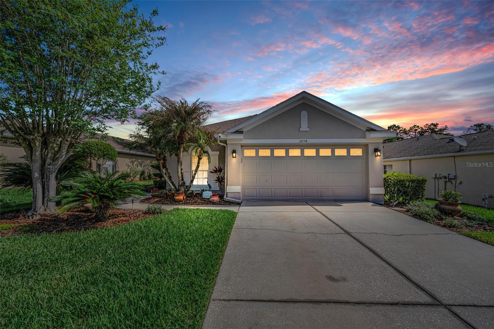 3054 BANYAN HILL LN, LAND O LAKES, FL, 34639