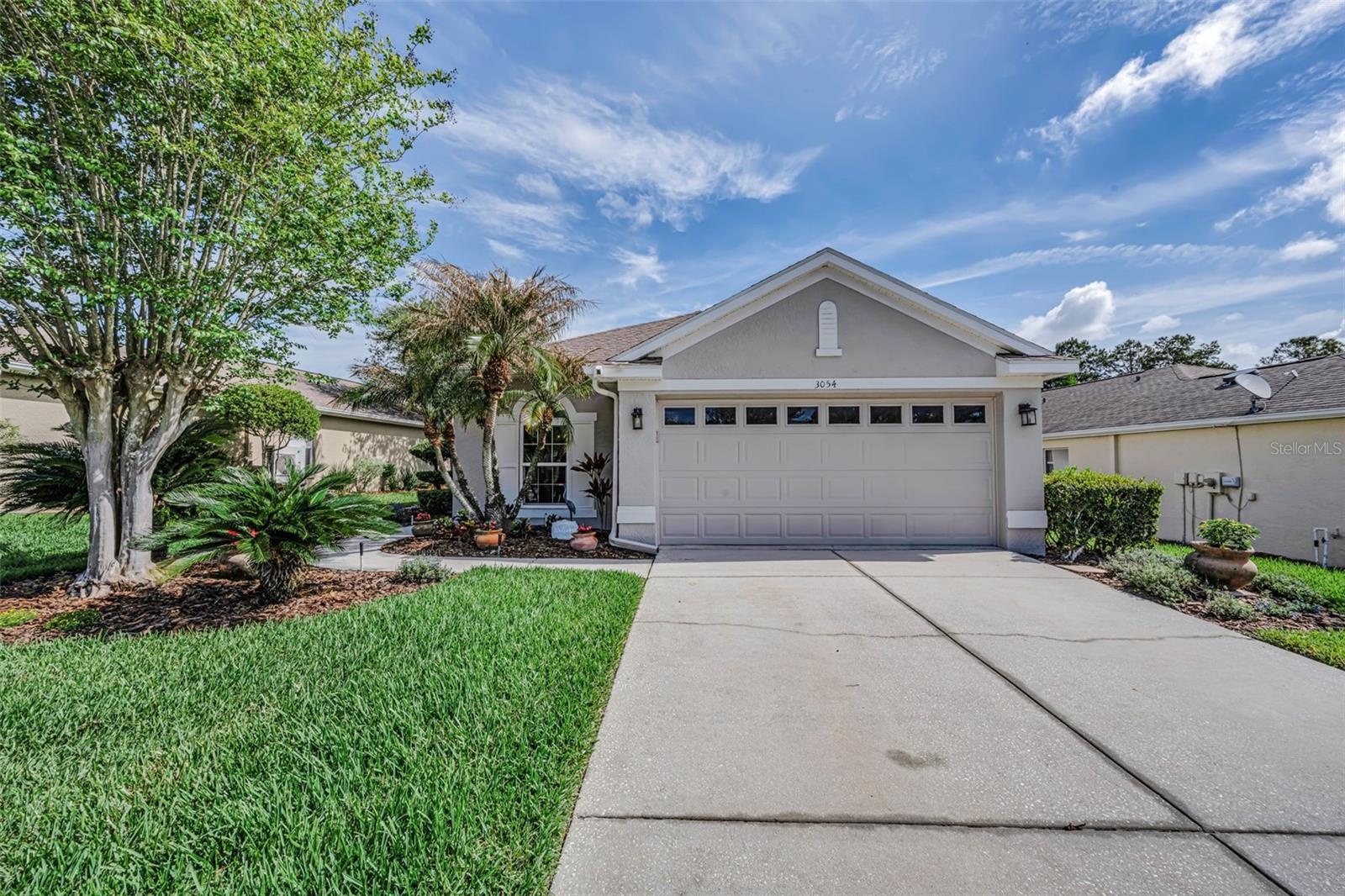 3054 BANYAN HILL LN, LAND O LAKES, FL, 34639