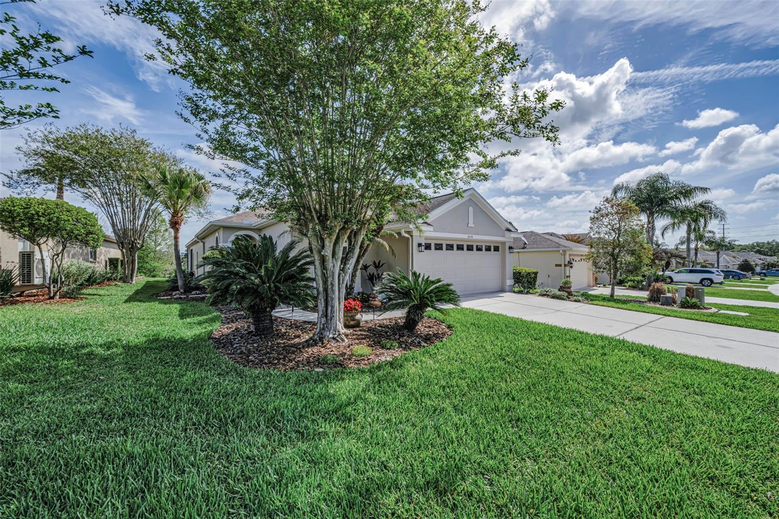 3054 BANYAN HILL LN, LAND O LAKES, FL, 34639