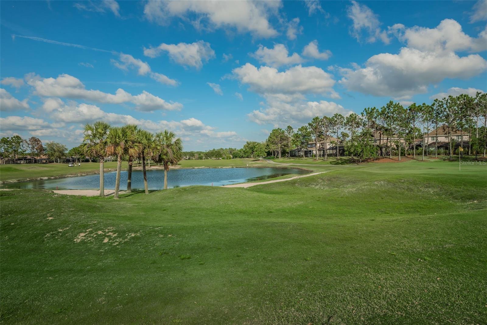 3054 BANYAN HILL LN, LAND O LAKES, FL, 34639