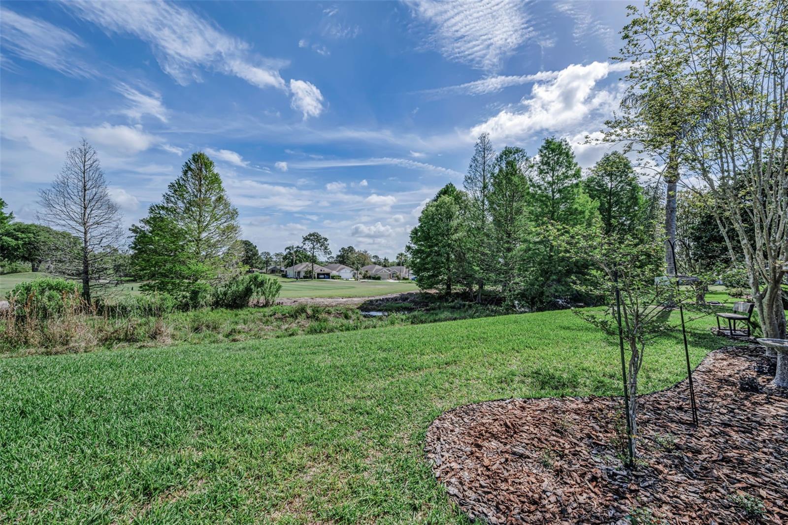 3054 BANYAN HILL LN, LAND O LAKES, FL, 34639