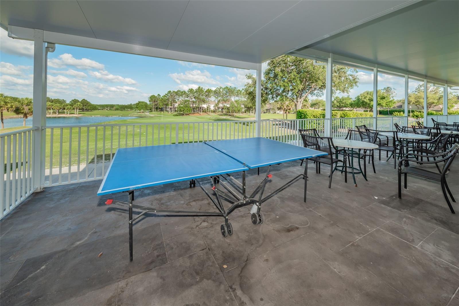 3054 BANYAN HILL LN, LAND O LAKES, FL, 34639