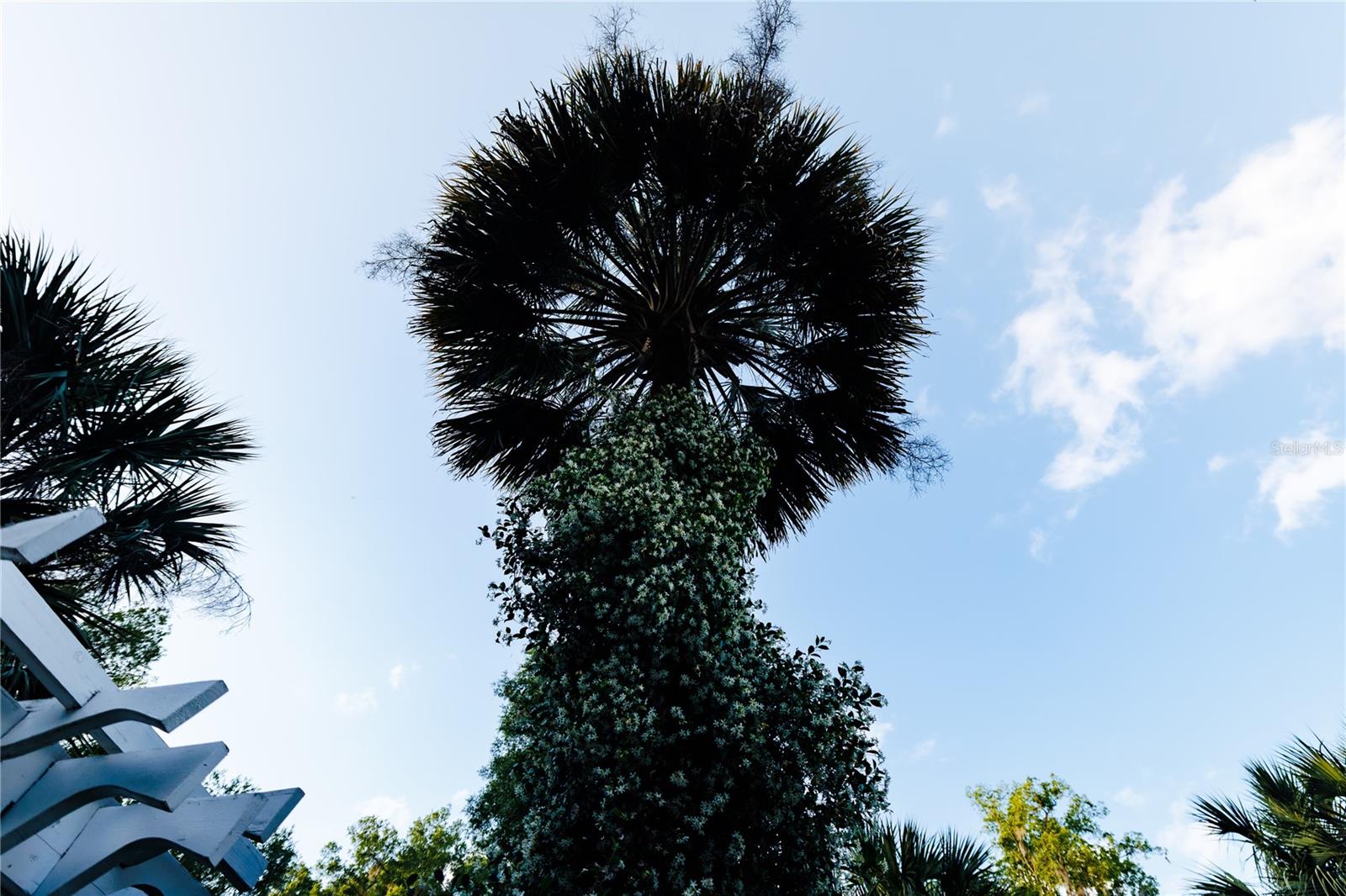 215 E FRENCH AVE, ORANGE CITY, FL, 32763