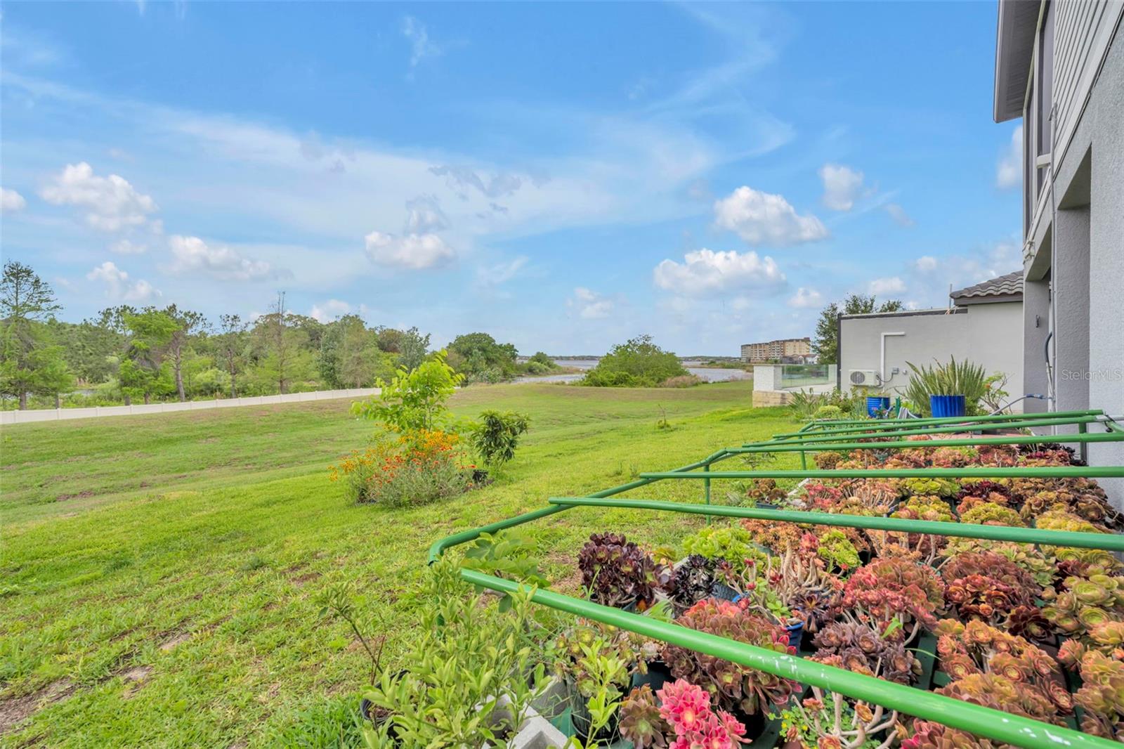 7344 ALPINE BUTTERFLY LN, ORLANDO, FL, 32819