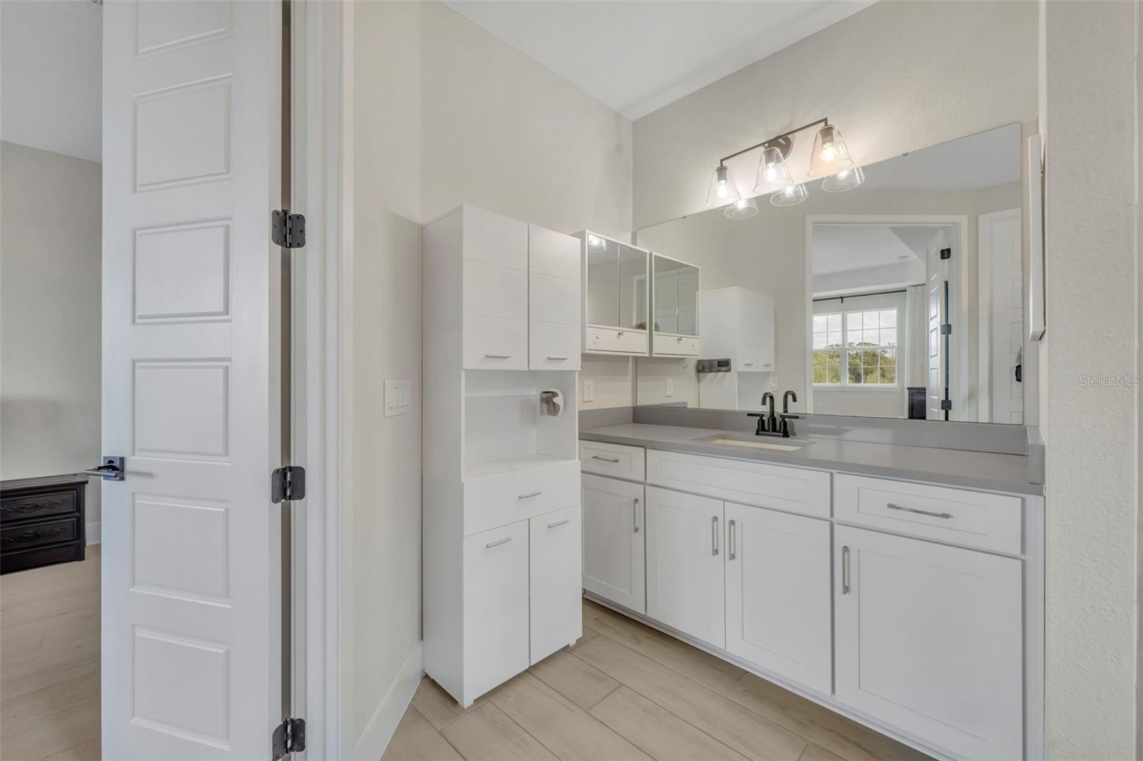 7344 ALPINE BUTTERFLY LN, ORLANDO, FL, 32819