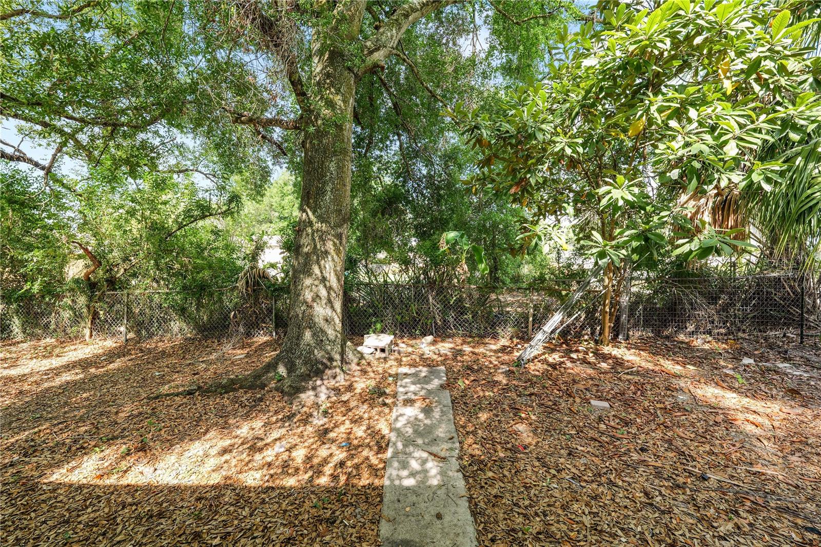 8316 N 12TH ST, TAMPA, FL, 33604