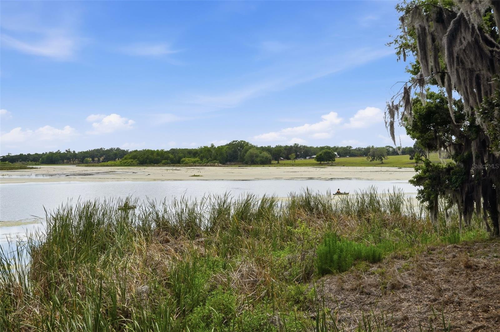 18610 TOWNSEND HOUSE RD, DADE CITY, FL, 33523