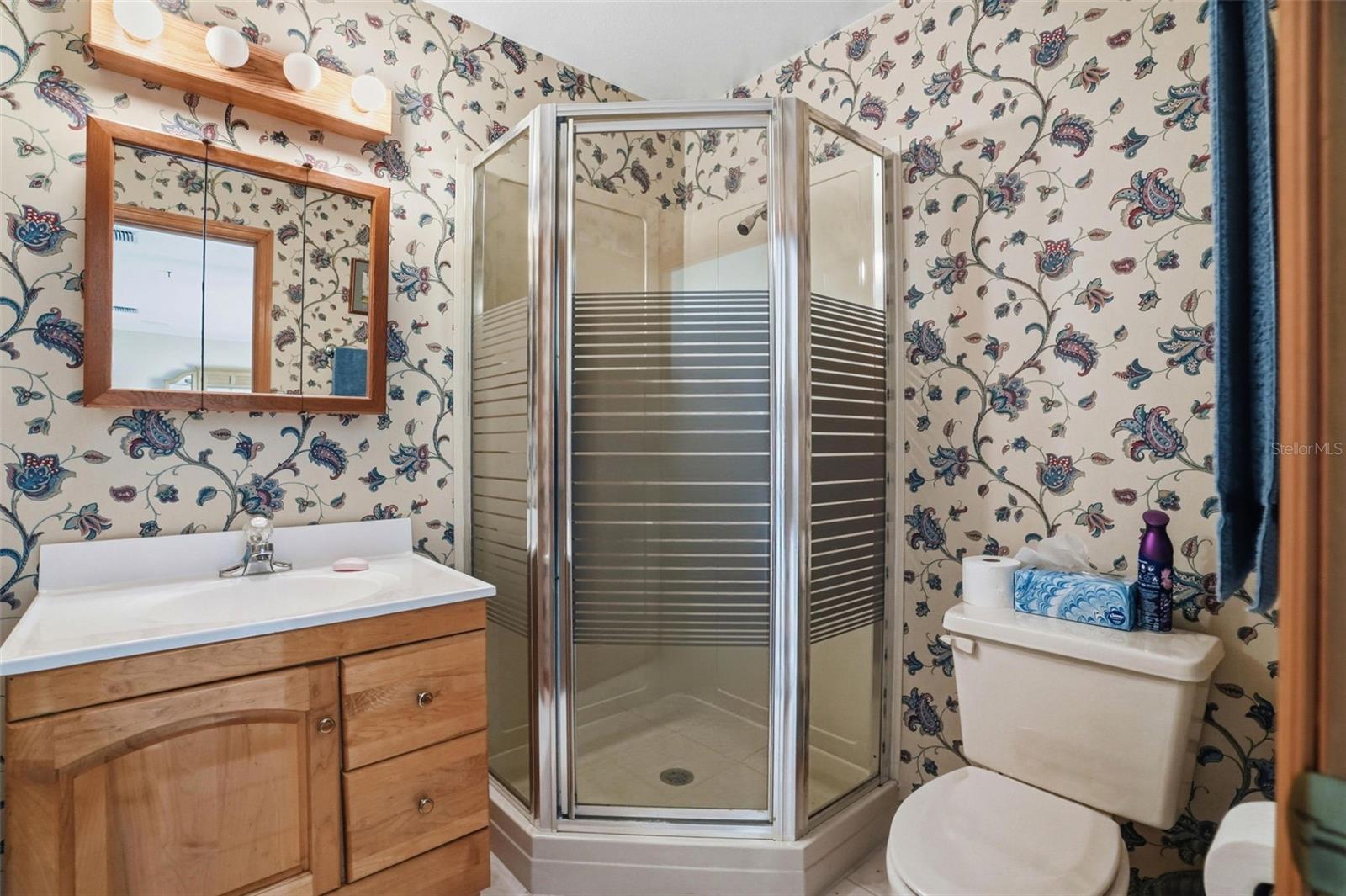 18610 TOWNSEND HOUSE RD, DADE CITY, FL, 33523