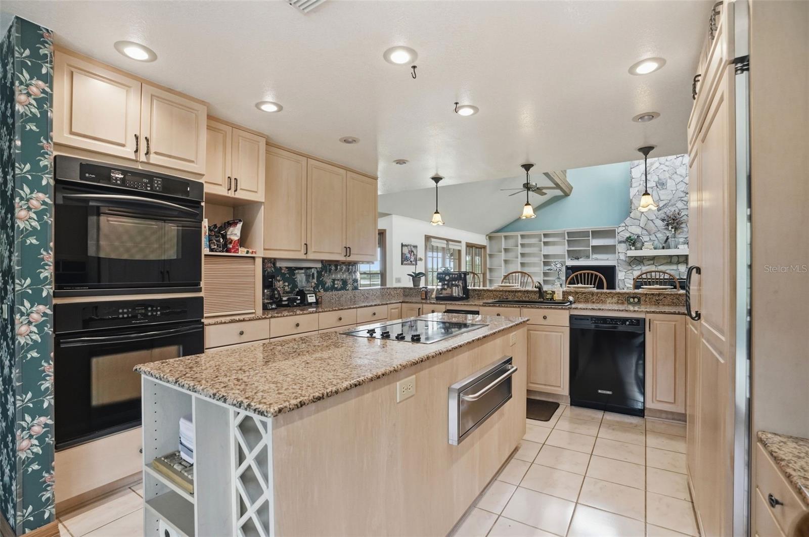 18610 TOWNSEND HOUSE RD, DADE CITY, FL, 33523