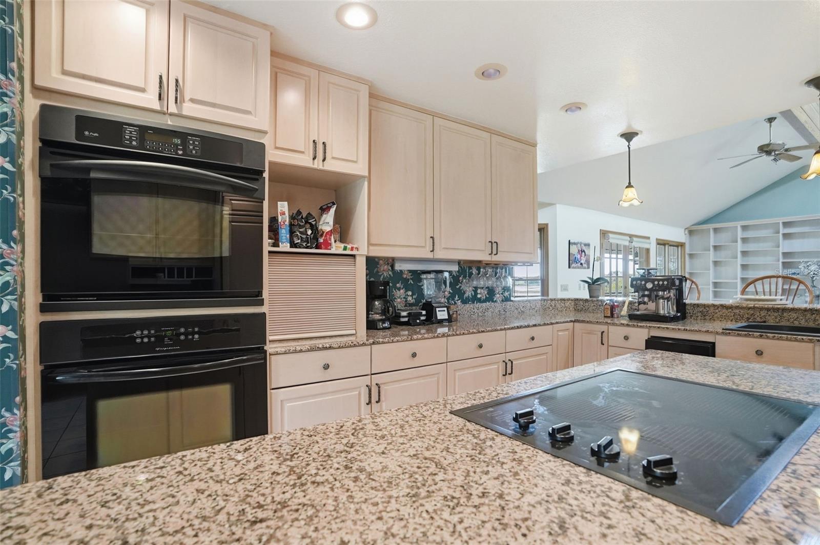 18610 TOWNSEND HOUSE RD, DADE CITY, FL, 33523