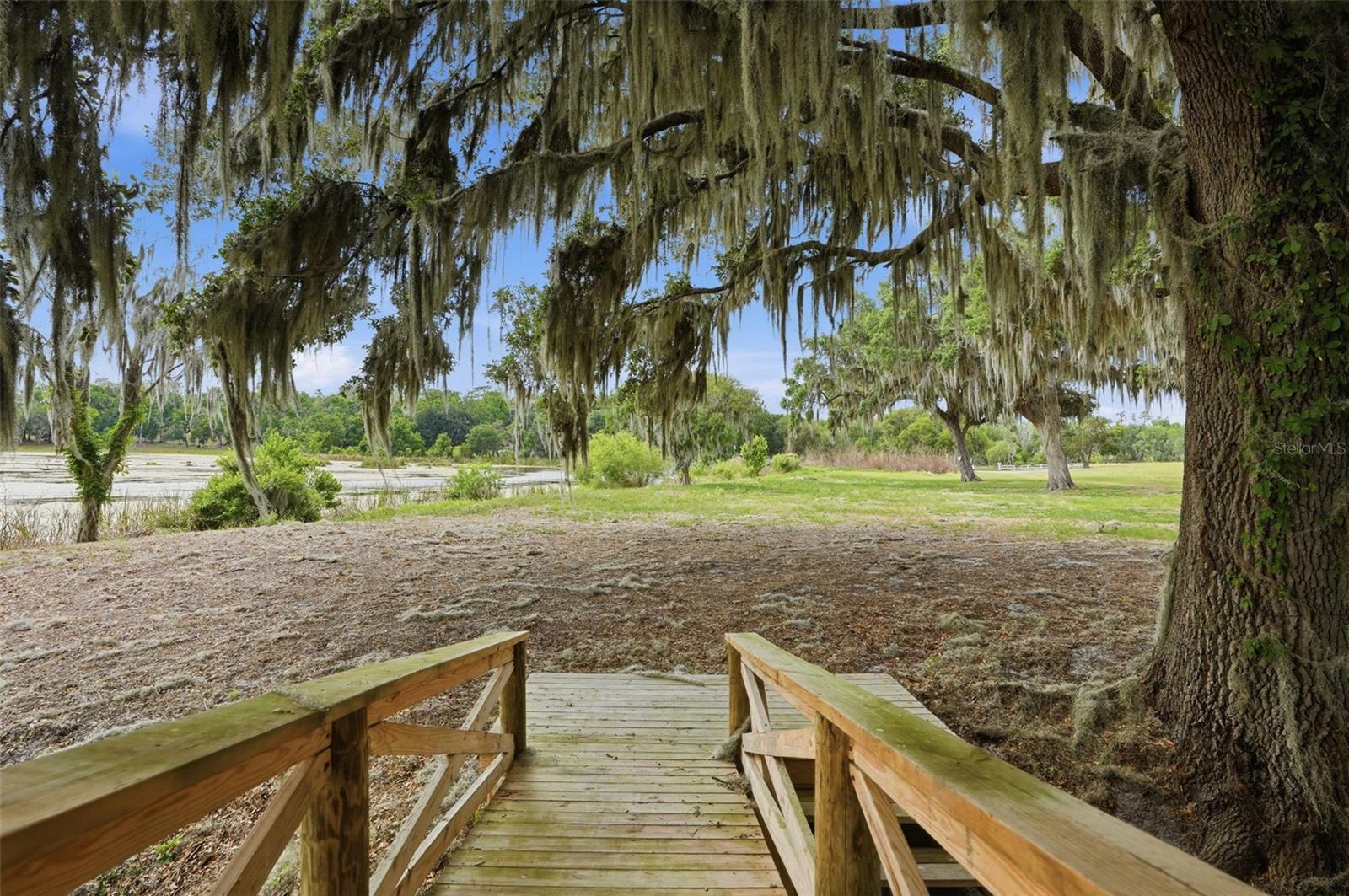 18610 TOWNSEND HOUSE RD, DADE CITY, FL, 33523