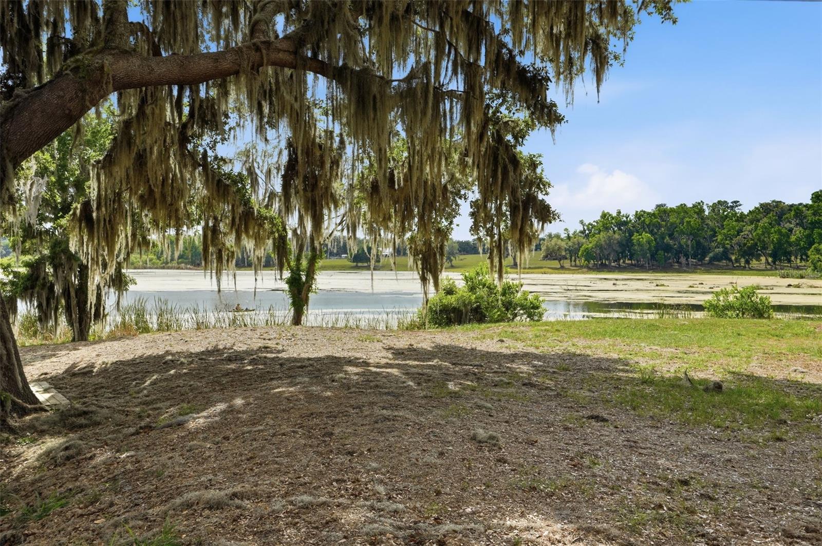 18610 TOWNSEND HOUSE RD, DADE CITY, FL, 33523