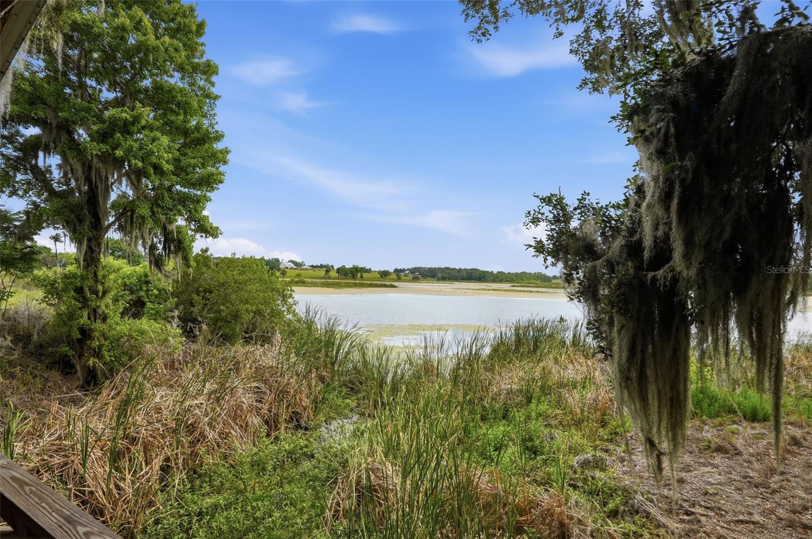 18610 TOWNSEND HOUSE RD, DADE CITY, FL, 33523
