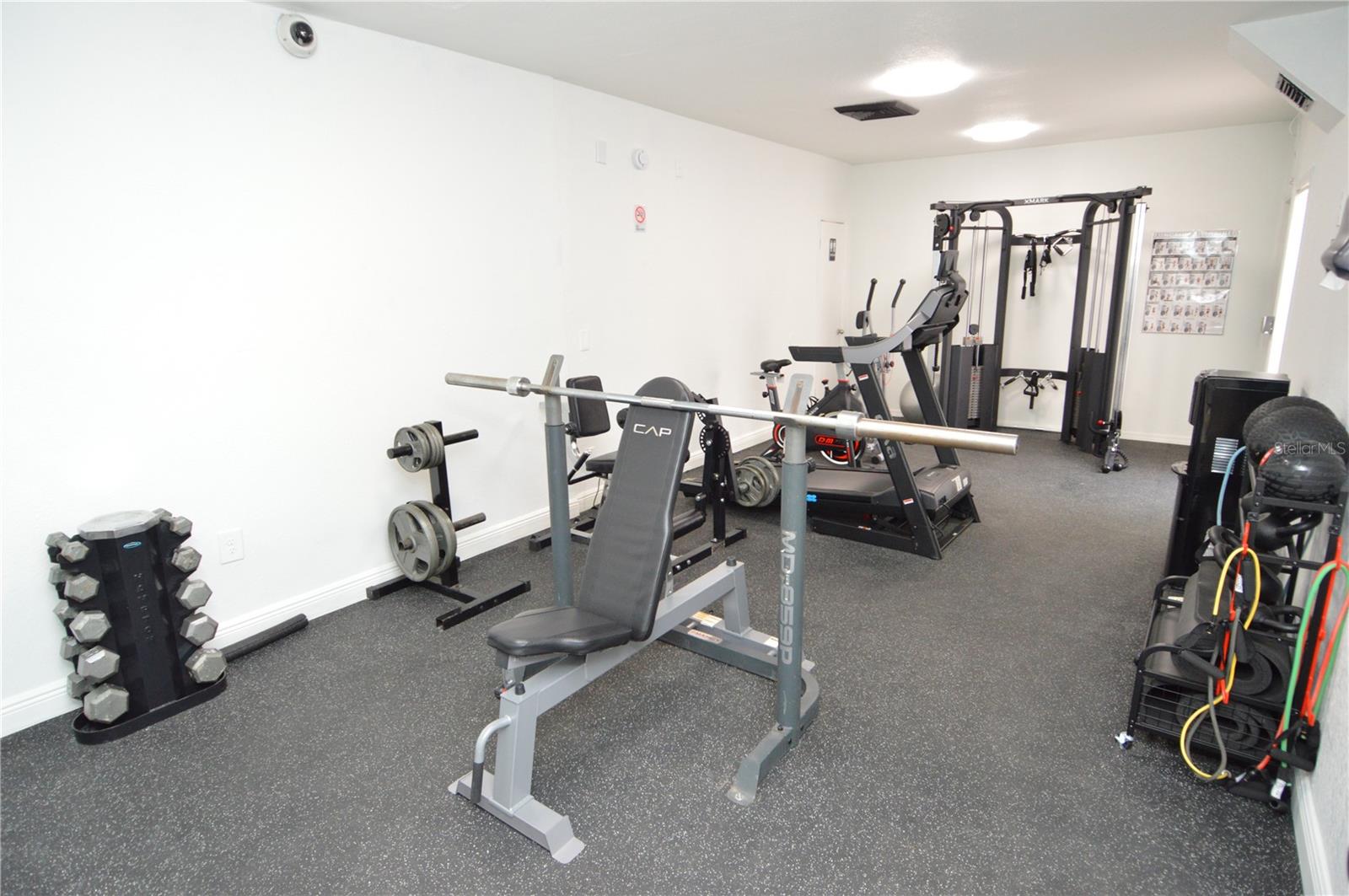 5004 CASTILE PL #463, TAMPA, FL, 33617