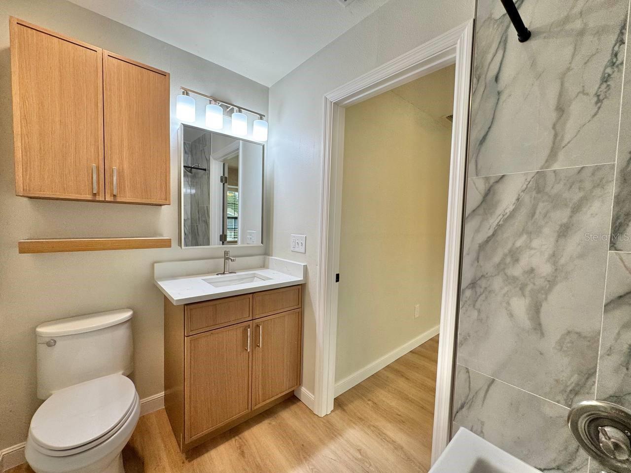 14042 LEMON VALLEY PL, TAMPA, FL, 33625